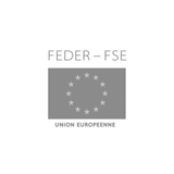 FEDER FSE